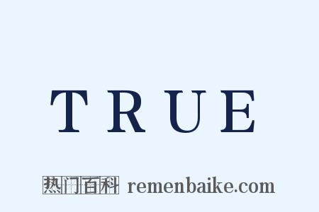 TRUE是什么意思的图片